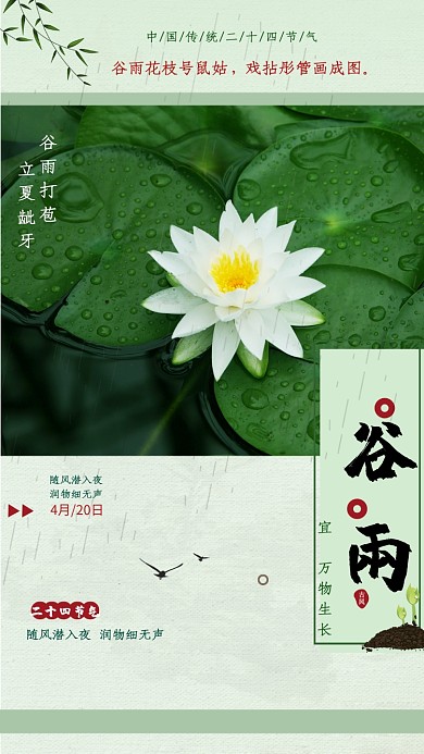 节气谷雨中国春天春暖花开池塘荷花手机海报