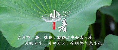 二十四节气之小暑简约公众号首图
