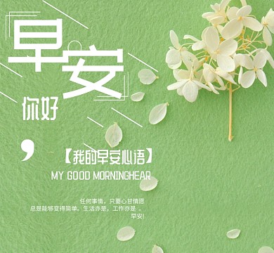 花卉你好早安绿色朋友圈封面