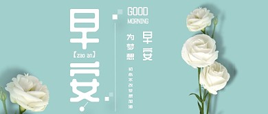 淡绿白花淡雅简约公众号首图