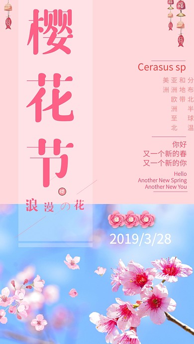 简洁清新樱花节手机海报