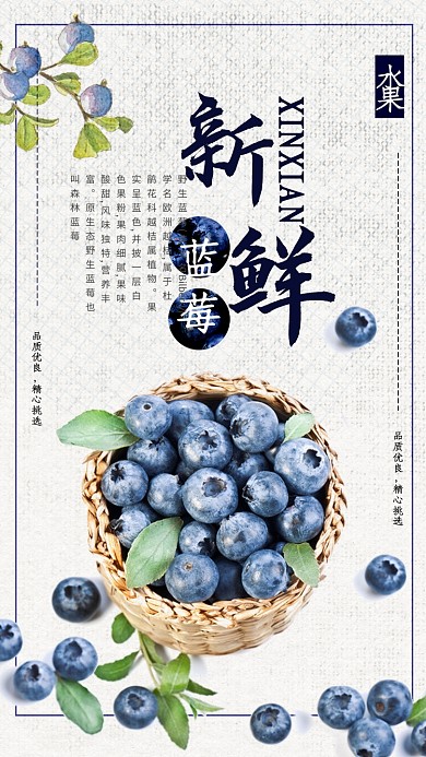 新鲜蓝莓促销海报