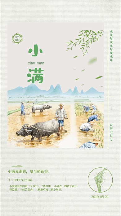 小满节气小清新绿色稻子手机海报