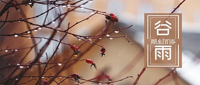 谷雨节气可爱树枝公众号首图