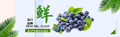 新鲜进口蓝莓叶子简约淘宝banner