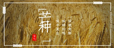 创意芒种节气时节海报微信公众号素材图片