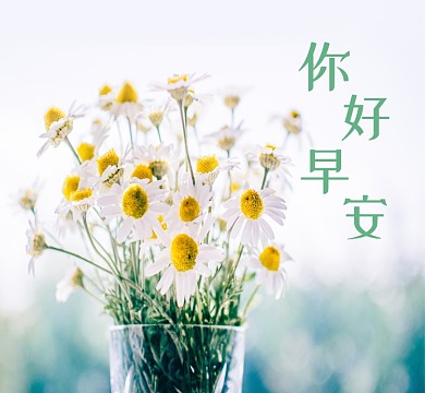 小清新你好早安花卉朋友圈封面