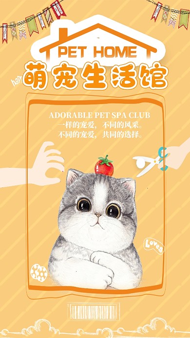 手绘卡通简约宠物猫咪手机海报