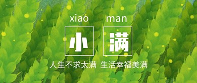 绿色创意小满节气微信公众号素材图片