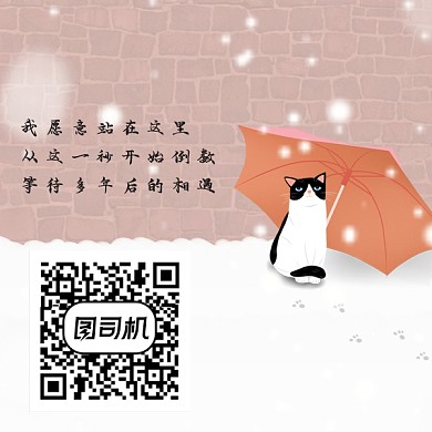 可爱卡通手绘猫咪新媒体二维码