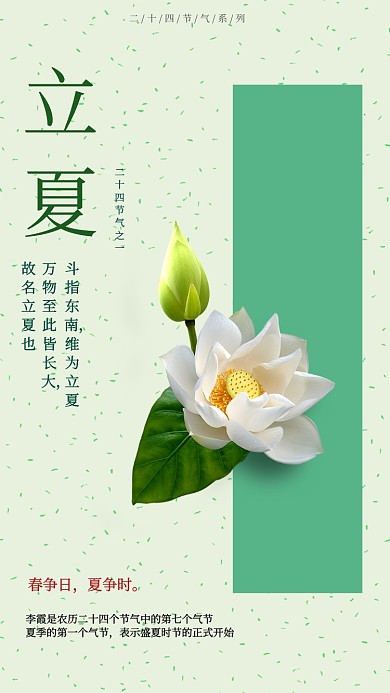 立夏节气小清新绿色中国风荷塘美手机海报