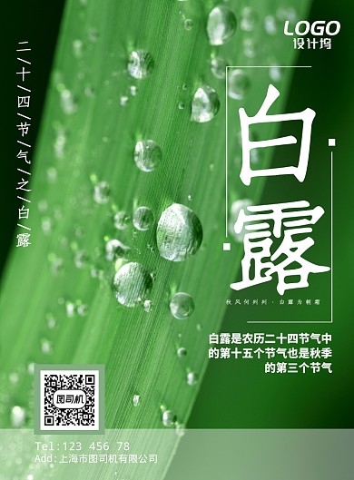 绿色自然白露季节节气海报模板