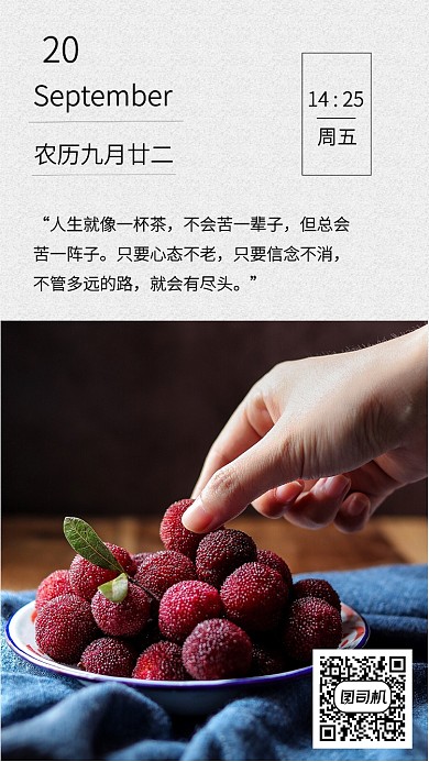 清新插画每日一签手机海报