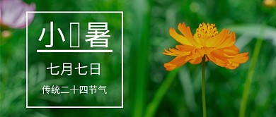 小暑7.7暑假假期夏天盛夏公众号首图