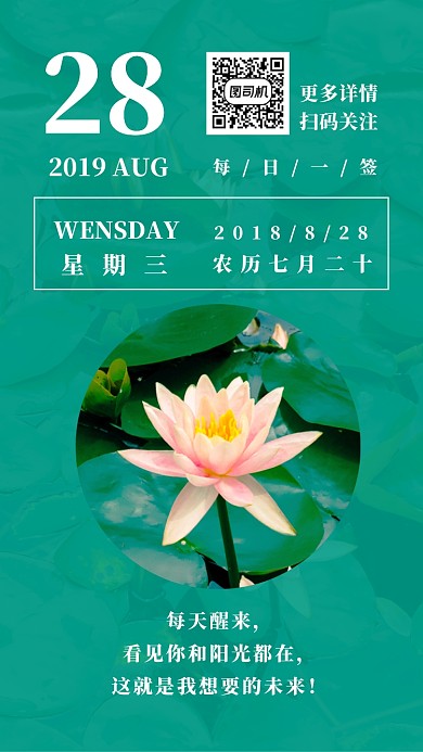 夏日荷花简约绿色日签月签手机海报