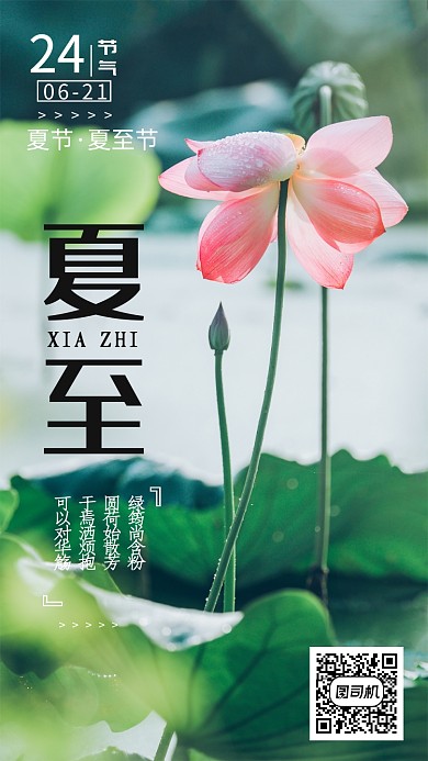 绿色大气二十四节气夏至手机海报