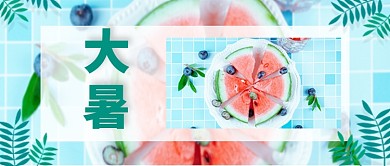 清新文艺水果高温夏季大暑广告微信公众号素材图片