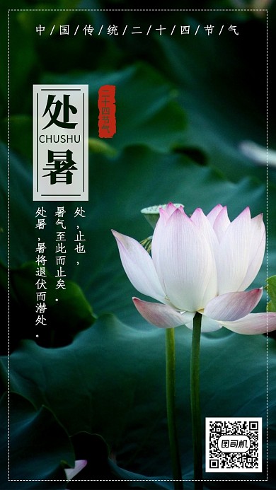 简约大气处暑二十四节气手机海报