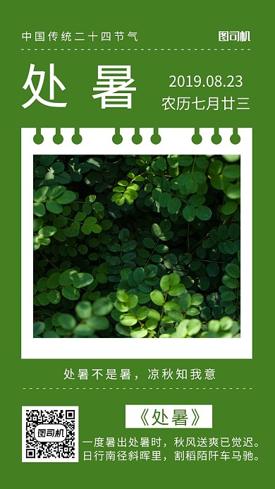 绿色植物摄影处暑手机海报