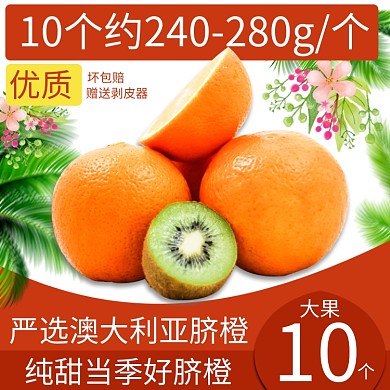 水果脐橙直通车图