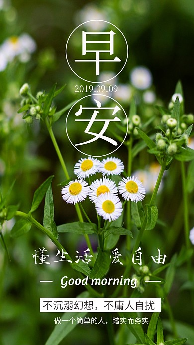 绿色高清植物早安日签手机海报
