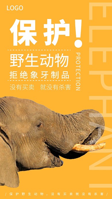 简约保护动物宣传海报