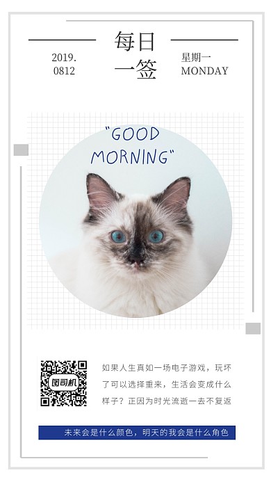 白色猫咪每日一签手机海报