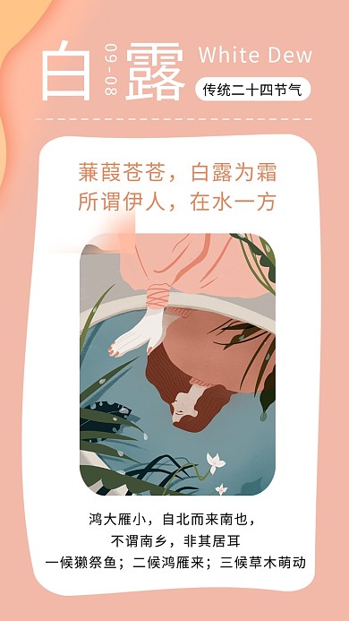 白露秋天节气粉色创意简约手机海报