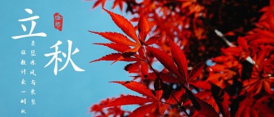 立秋简约风格枫叶首图