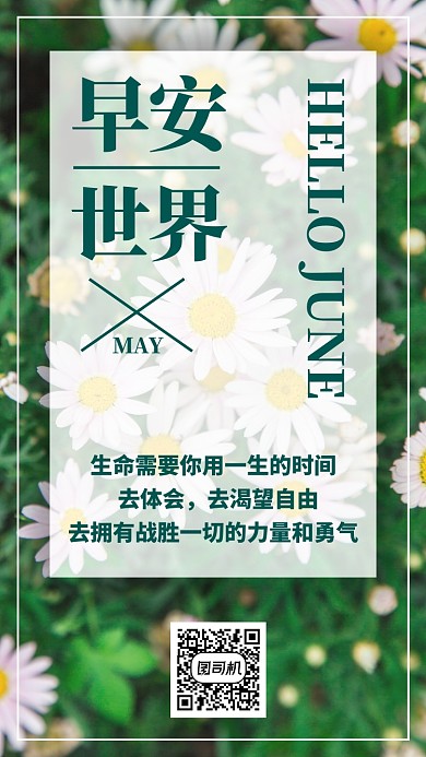 绿色摄影早安问候日签月签菊花手机海报
