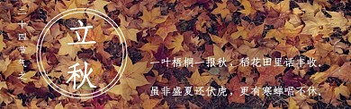 立秋banner