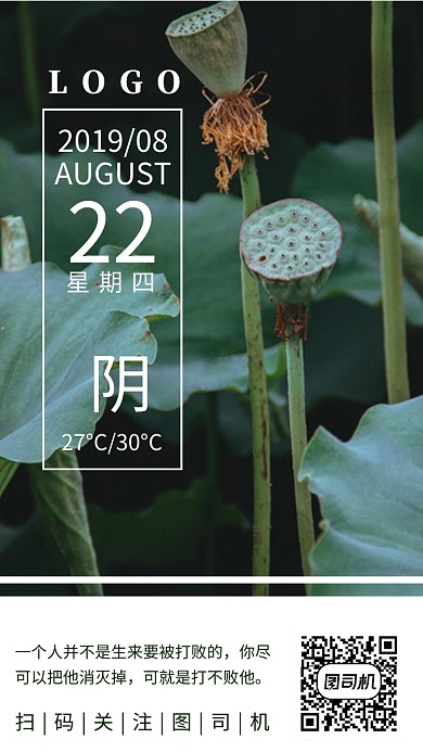 八月你好荷花摄影简约日签海报