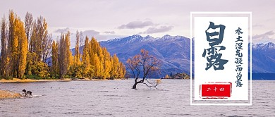 白露公众号首图