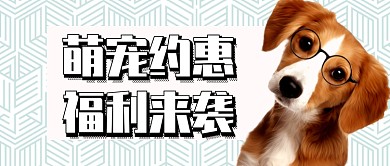 宠物狗公众号首图