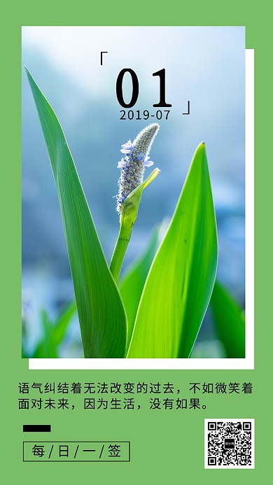 植物花卉摄影日签海报