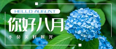 绿色清新你好八月节气广告海报微信公众号素材图片
