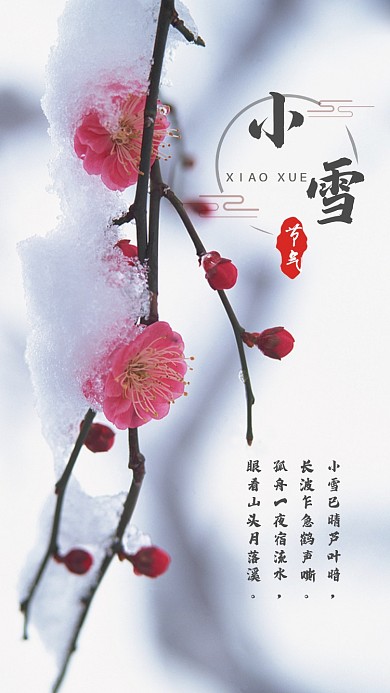简洁小雪节气手机海报