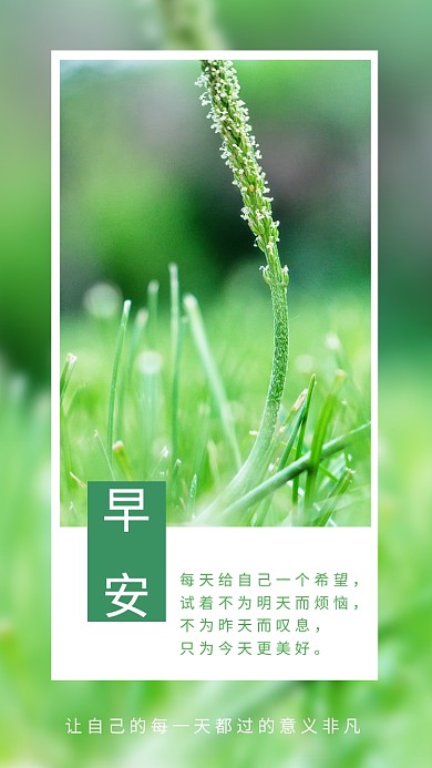 绿色小清新早安手机海报