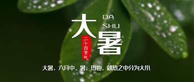 绿色二十四节气之大暑公众号首图