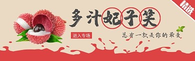 简约水果荔枝促销淘宝banner