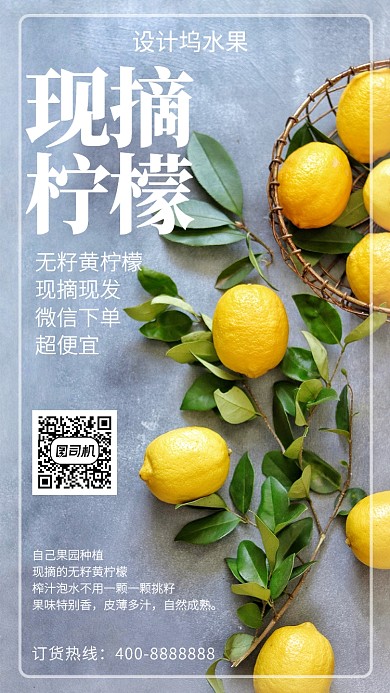 美味现摘柠檬手机海报