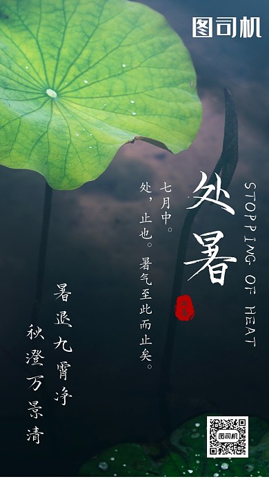 处暑简约大气海报