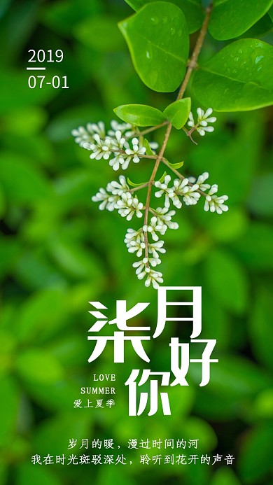 创意绿色摄影七月月签海报