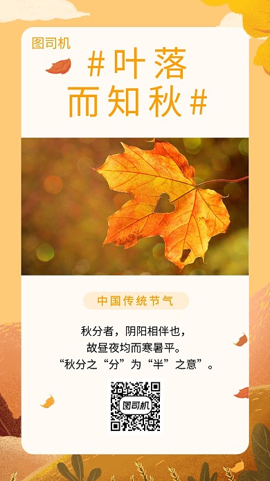 文艺清新传统秋分节气手机海报