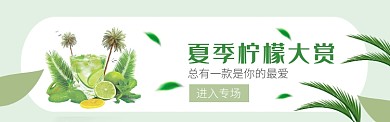 清新水果青柠电商淘宝促销banner