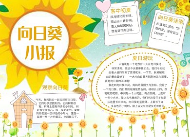 卡通向日葵小报