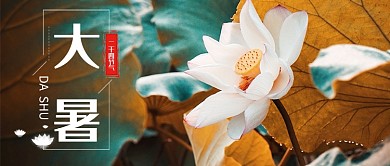 大暑节气公众号首图