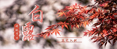 24节气白露公众号首图