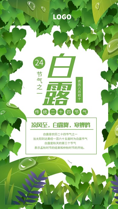 创意绿叶白露二十四节气宣传海报