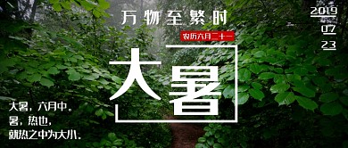 绿色二十四节气之大暑公众号首图